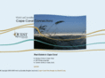 capecoralconnections.com