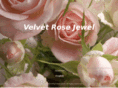 velvetrosejewel.com