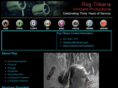 raytilkens.com