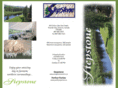 stepstonecentre.com