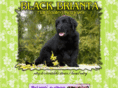 brianta.com