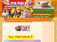 ponypartieschicagoland.com