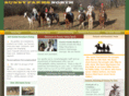 sunnyfarmsnorth.com