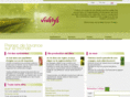 viverys.com