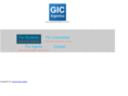 gicargentina.com