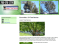 josestreeservicesd.com