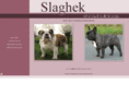 slaghek-bulldogs.com