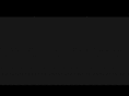 dynacoce.com
