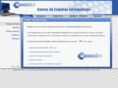 icesin.com