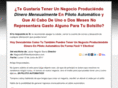 negocioenpilotoautomatico.com