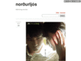 nordurljos.com