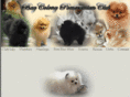 baycolonypomeranianclub.org