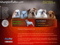 englishbulldogpuppybreeder.com
