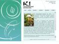 kienvironmental.com