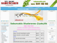 sabuncakis.net