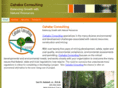cahabaconsulting.com