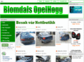 opelhugg.com