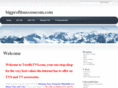 bigprofitsuccesscom.com