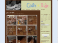 colinandpaige.com