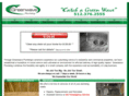 greenwaveplumbing.com