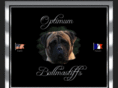 optimumbulls.com