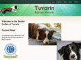 tovarin.com