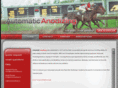 automaticanodizing.com