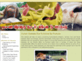 foodcatalyst.com