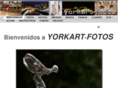yorkart-fotos.es