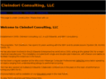cleindoriconsulting.com