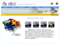 egluesolutions.com