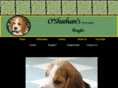 osheehans.com