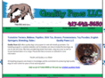 qualitypawsllc.com