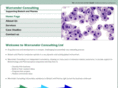 warranderconsulting.com