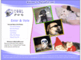 mycoolpet.com
