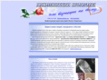 vsshalom.org