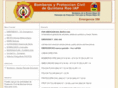 bomberosrivieramaya.org