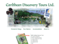 caribbeandiscoverytours.com