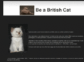 chats-british-shorthair.net