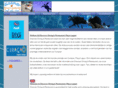 discoverdiving.nl