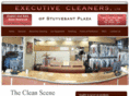 drycleanersalbany.com