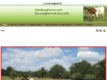 jlairdlonghorns.com
