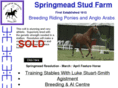 springmeadstudfarm.com