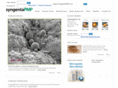 syngentapmp.com