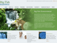 bigfishenvironmental.com