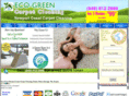 carpetcleaningnewportcoast.com