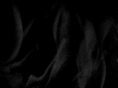 crissteachesu.com