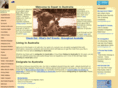 expatinoz.com