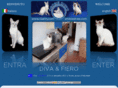 igatto.com