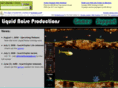 liquidnoiseproductions.com